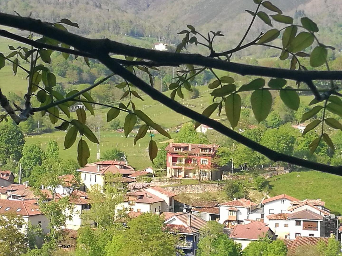 Apartamentos El Picoretu Mestas de Con Kültér fotó