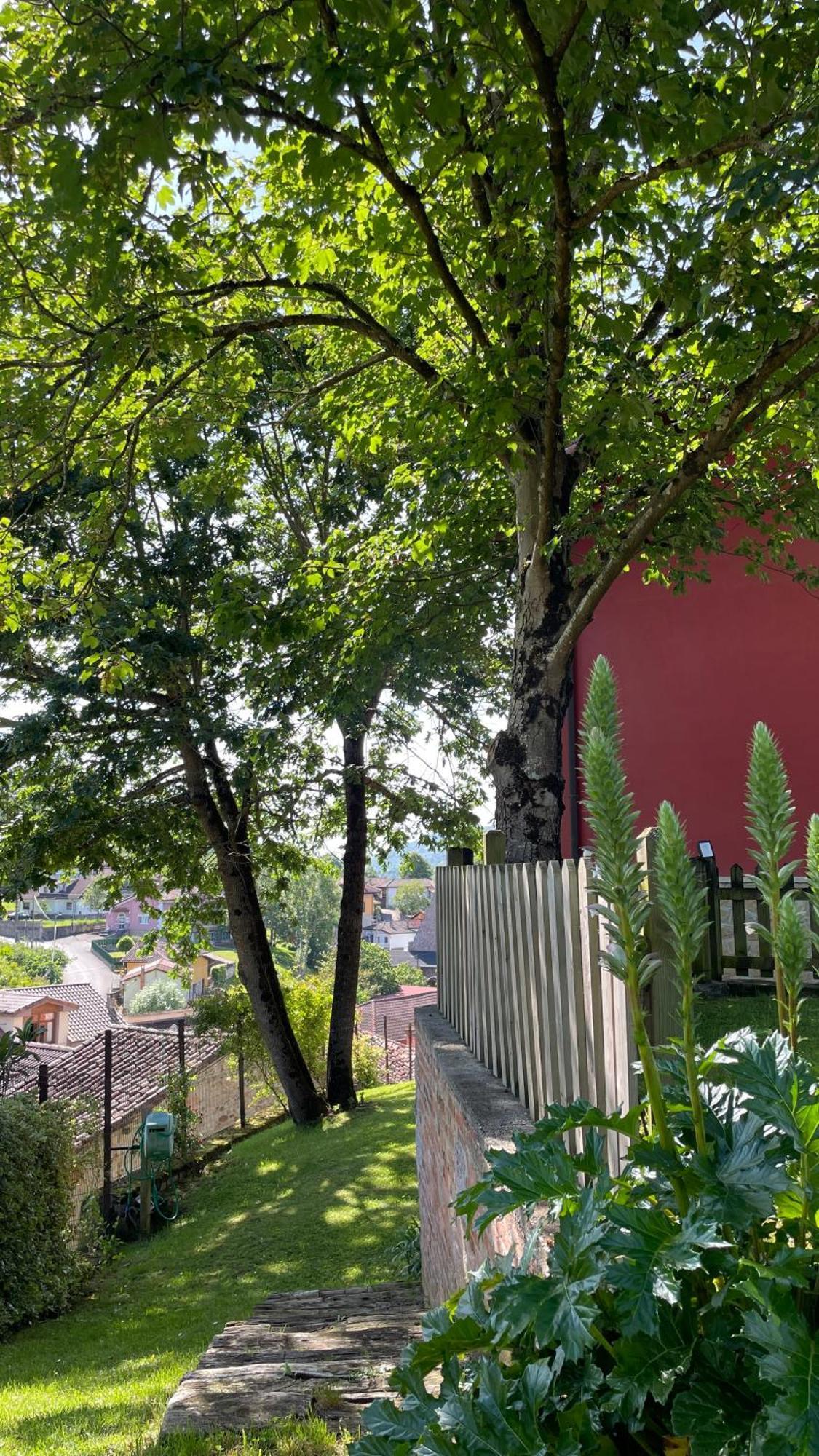 Apartamentos El Picoretu Mestas de Con Kültér fotó